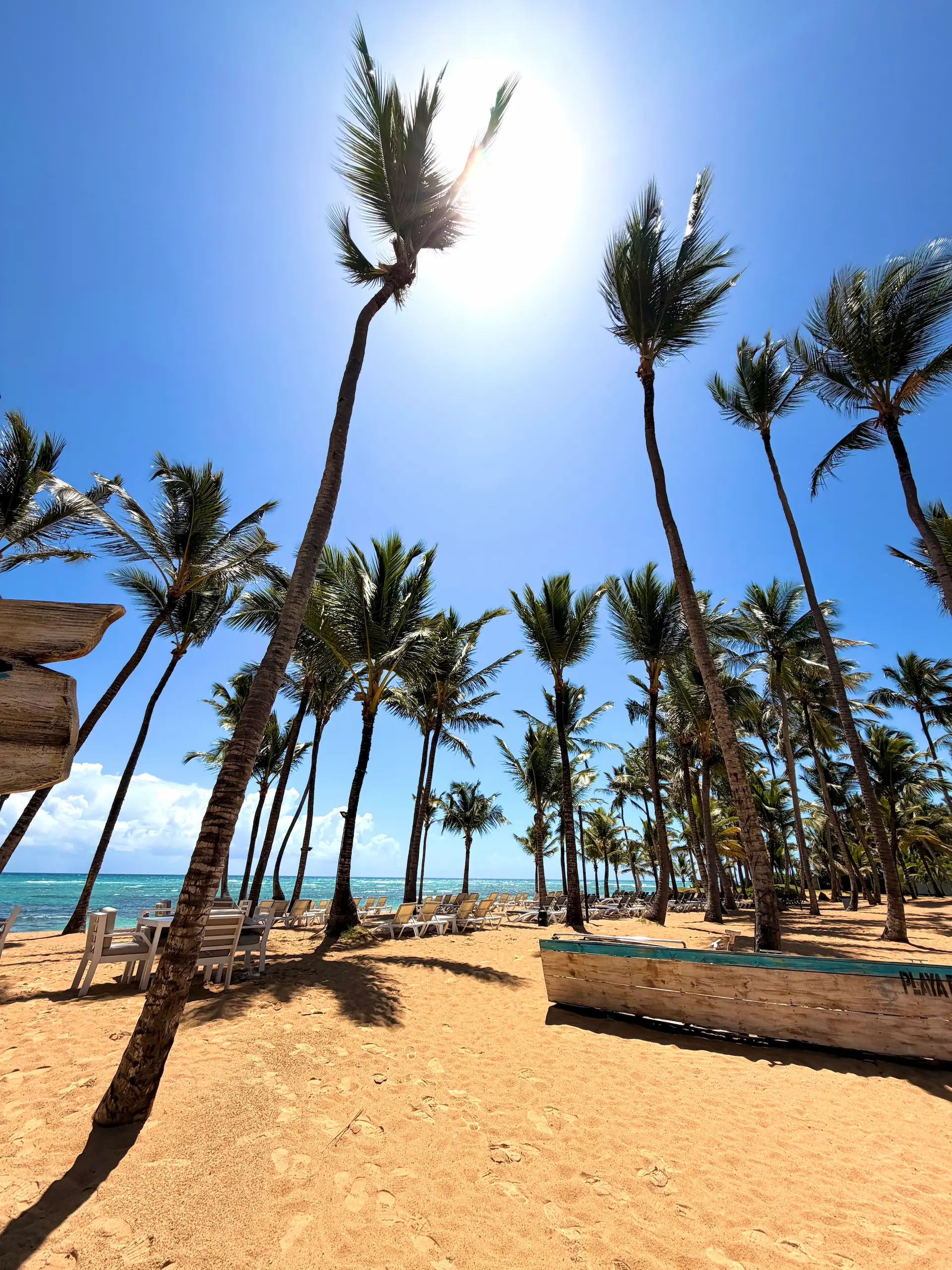 Fondo Playa Palmera